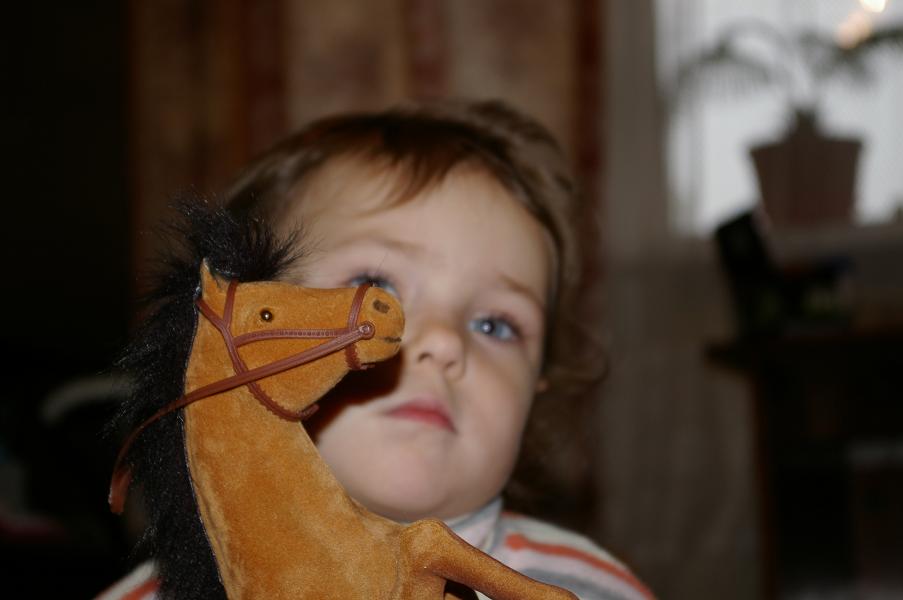 любимая лошадка. Новая папка