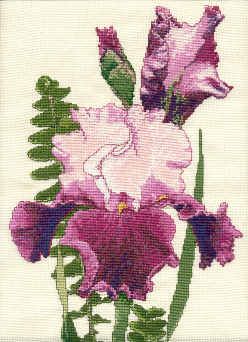 ирис скан. Мои работы