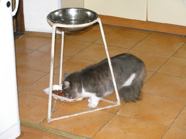 Стёпа. Питомцы