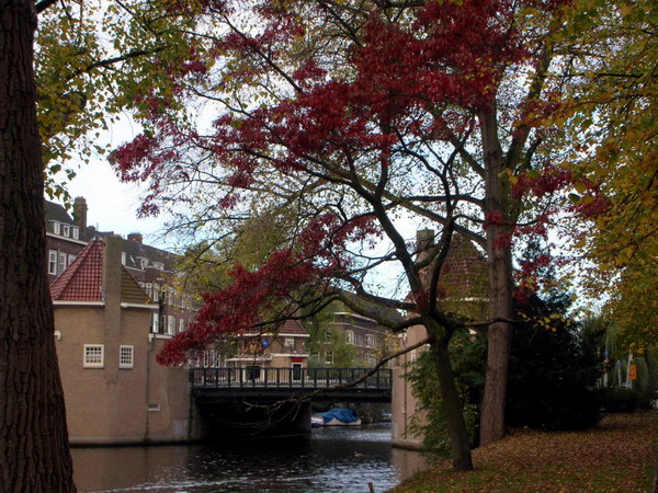 В Амстердаме осень..... Амстердам