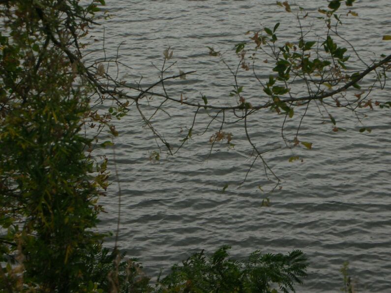 вот Хортица.... Запорижже