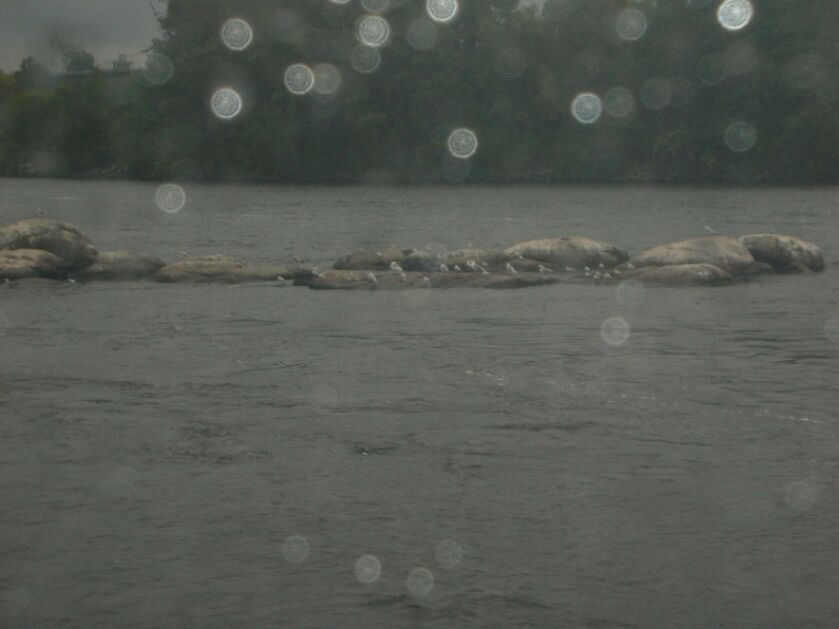 И редкая птица долетит до середины Днепра.... Запорижже