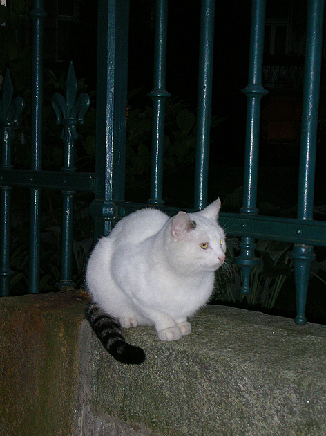 Карловы Вары