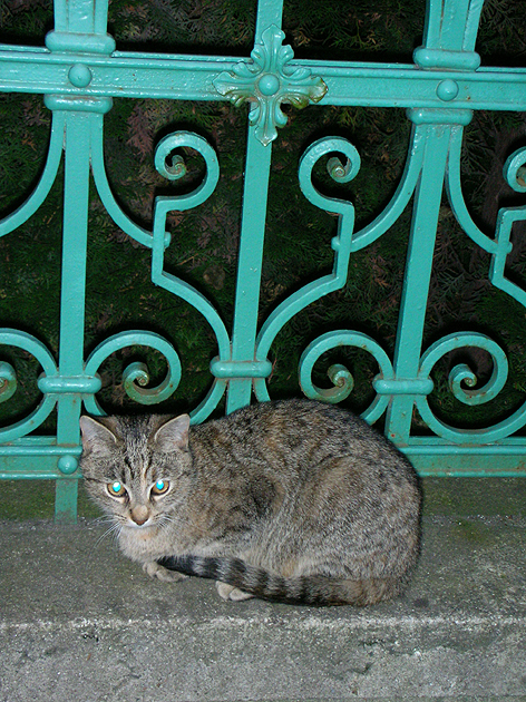 Карловы Вары