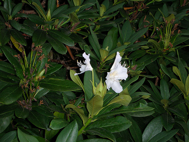 Карловы Вары