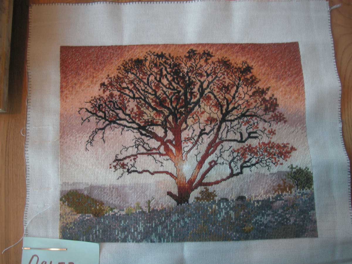 работа ALGO. ноябрь 2007