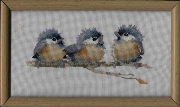 Птици. Мои работы