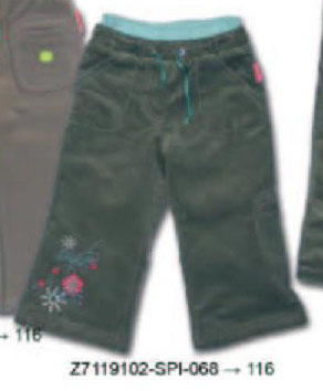 14-15. SPIRIT OF LIFE