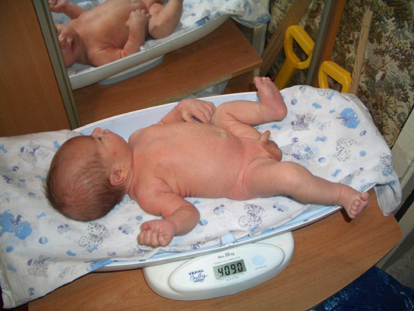 2 недели от рождения. Новорожденный весом 4 кг. Вес новорожденных при рождении.