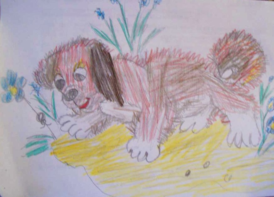 цветные карандаши. РИСУНКИ