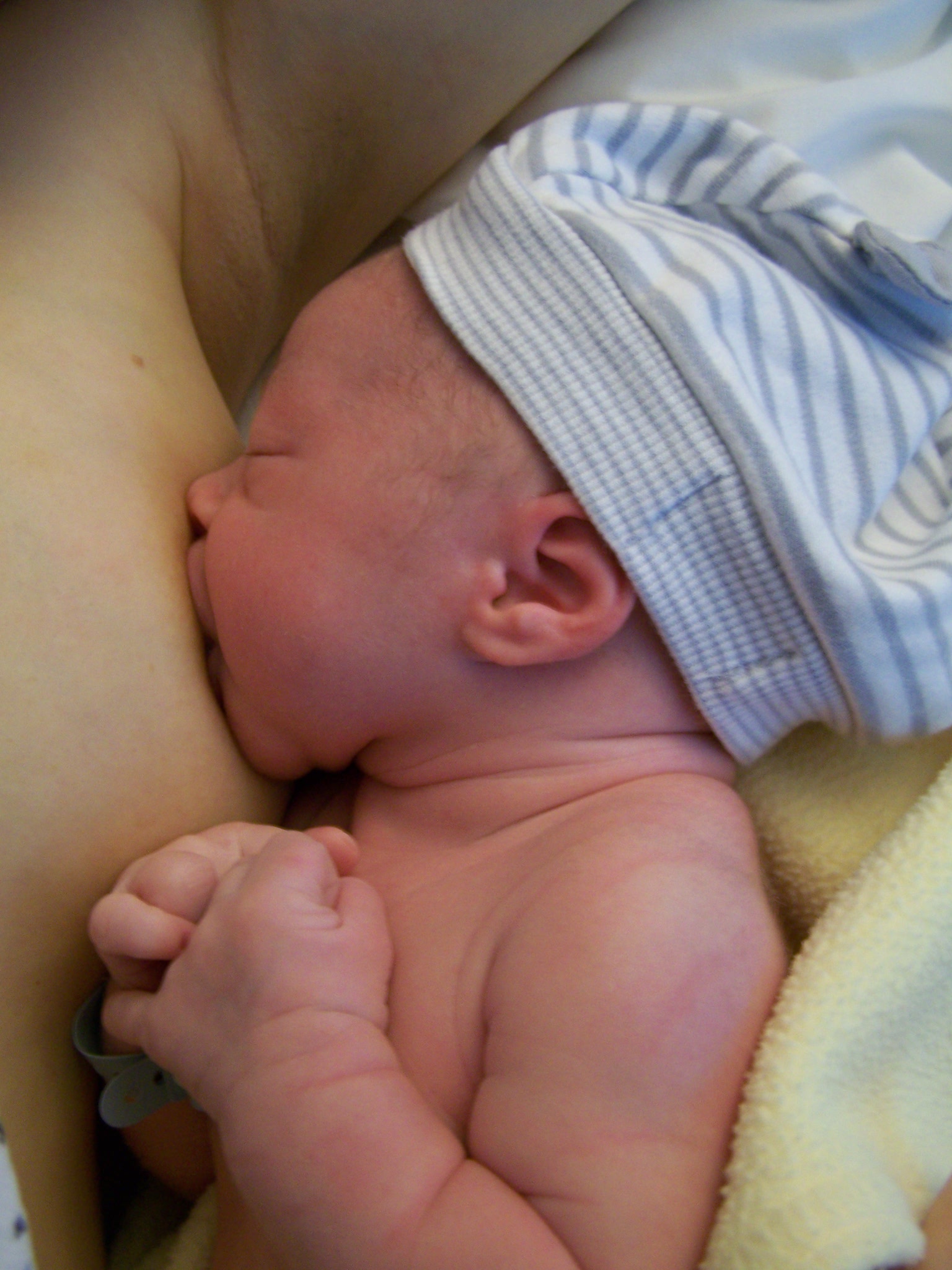 Новая папка