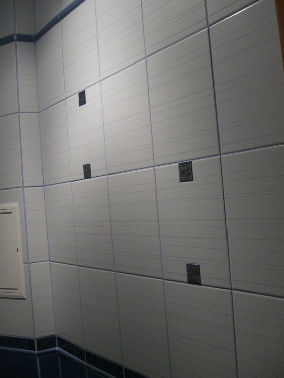 стена, верх светлый. Туалет