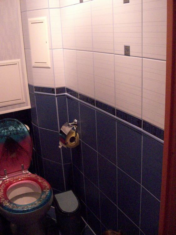 вид сбоку. Туалет