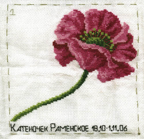 2 этап - Катеночек. Цветы для Санечки