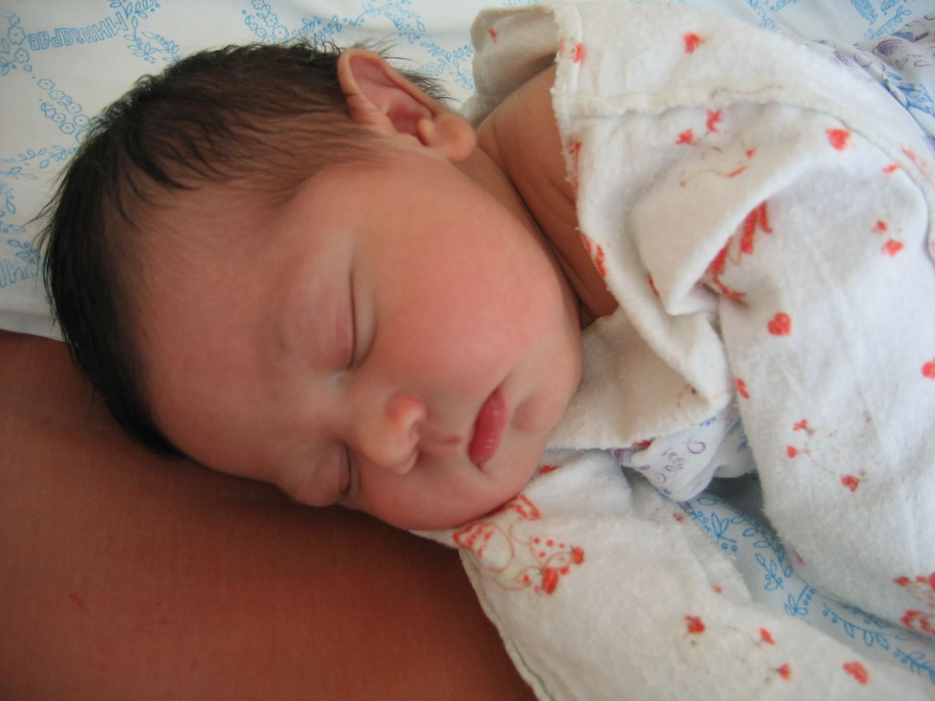 нам насколько дней. Андрюшка