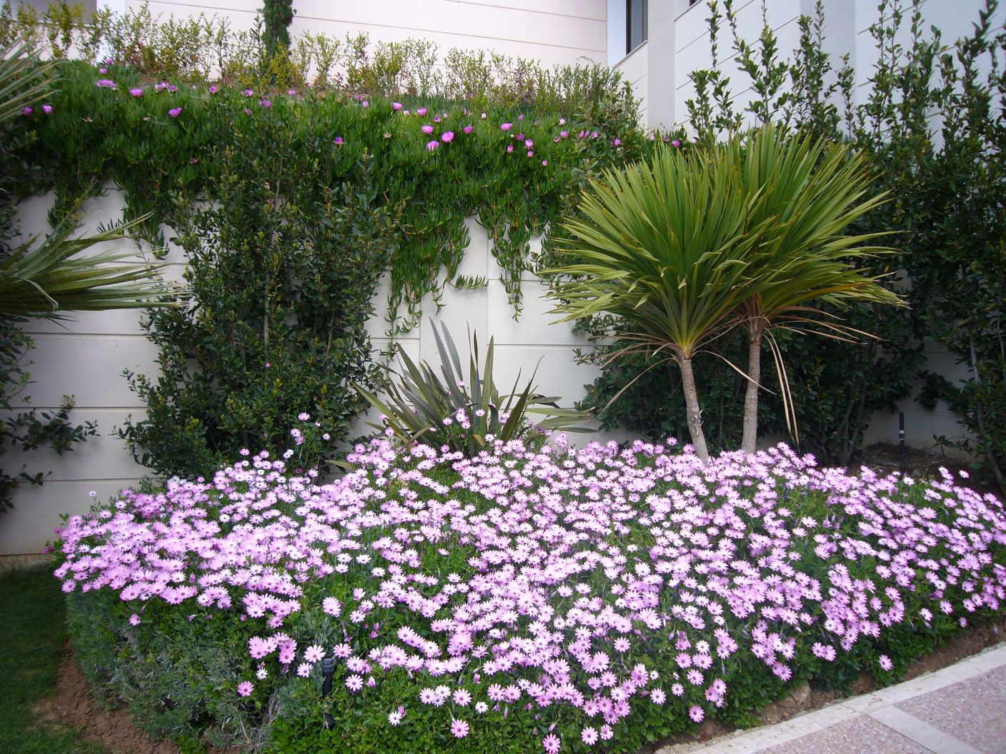 Oceania Club,  около главного здания. Греция апрель 2007