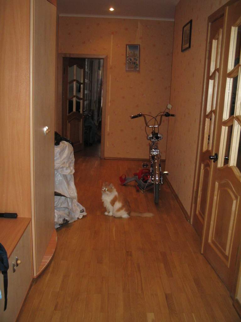 Квартира в Пушкине