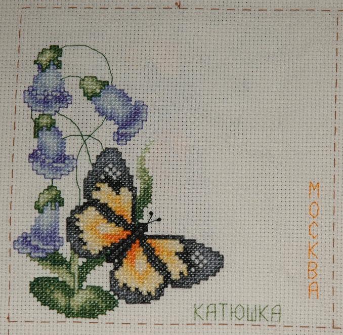 Сюжет для Натальи Петруниной. РОБИН 12 месяцев