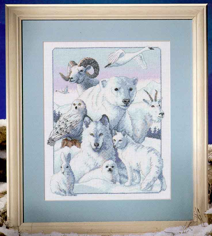 Nothern dignity. Dimensions