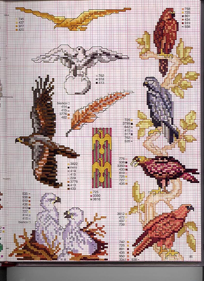 AE-#80. American Eagle and Other...