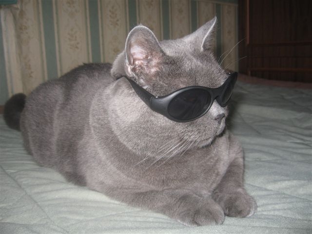 скоро лето. просто так