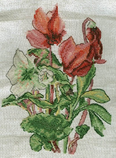 5 этап - Cloud. Цветы для Санечки