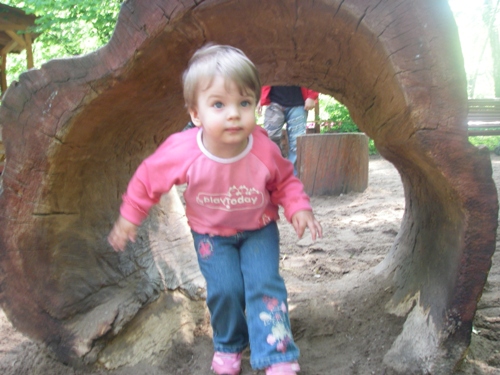 Ботанический сад МГУ