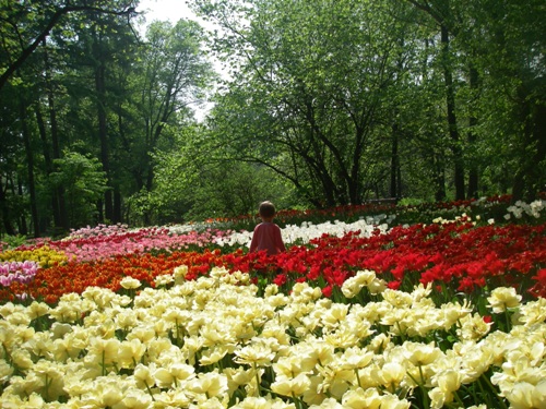 Ботанический сад МГУ