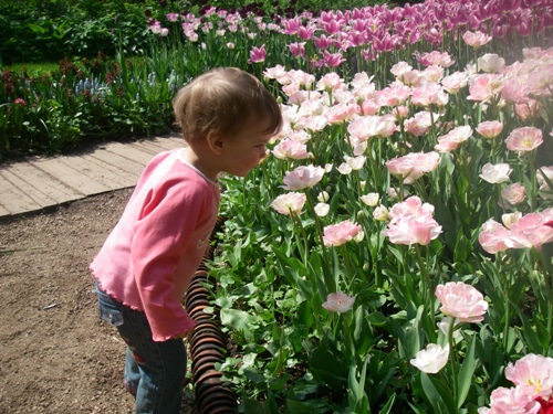 Ботанический сад МГУ