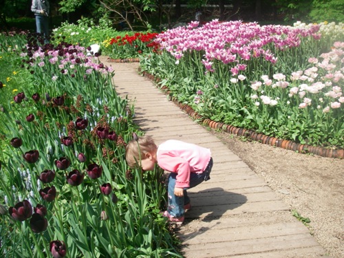 Ботанический сад МГУ
