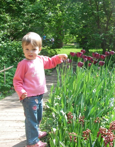 Ботанический сад МГУ