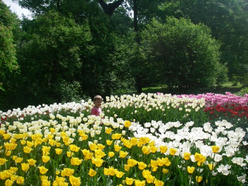 Ботанический сад МГУ