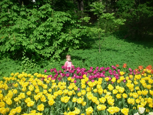 Ботанический сад МГУ