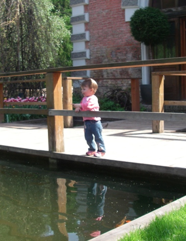 Ботанический сад МГУ