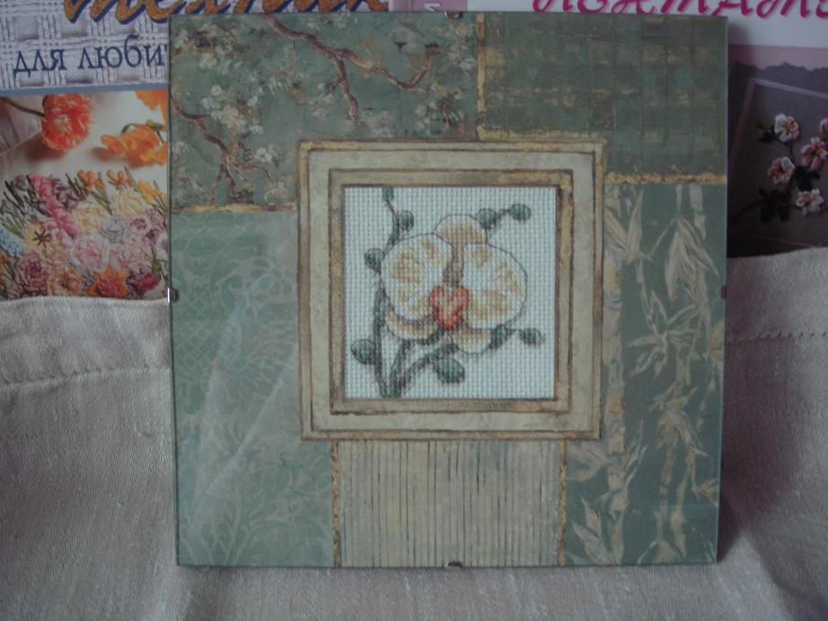 орхидея. весенние хвасты