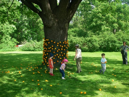 Ботанический сад МГУ