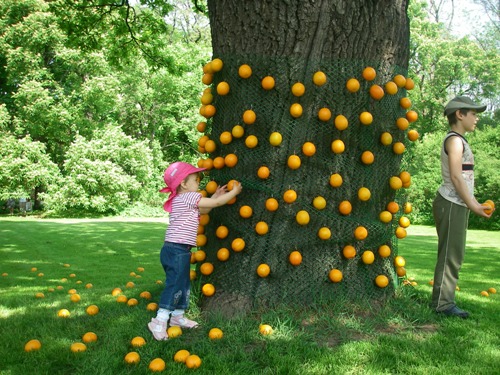 Ботанический сад МГУ