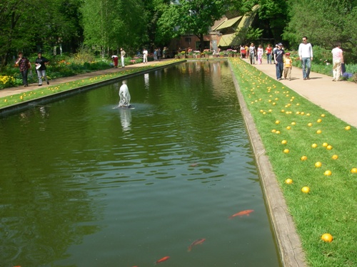 Ботанический сад МГУ