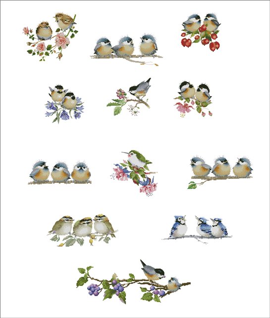 Санечка (Россия, Питер). RR 2 'Для старых друзей'