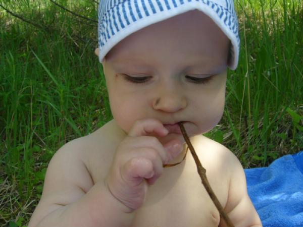 ой как вкусно. на природе