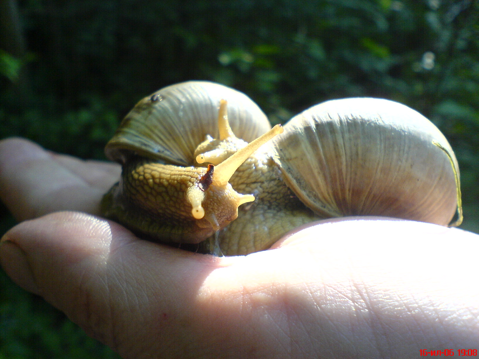 Беларусь Кролова Хата
