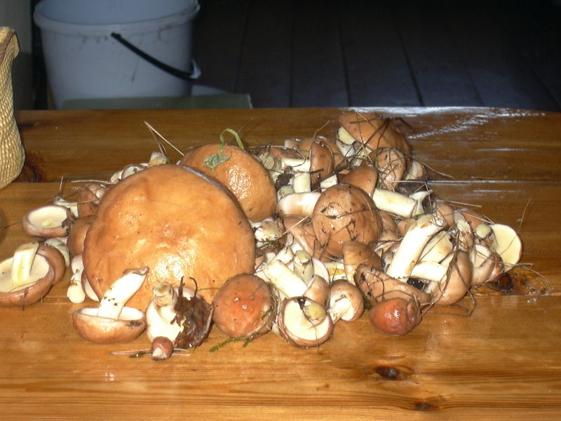 Кролова Хата. Беларусь Кролова Хата