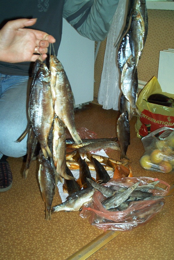 Дразнилки)) . Крым'04