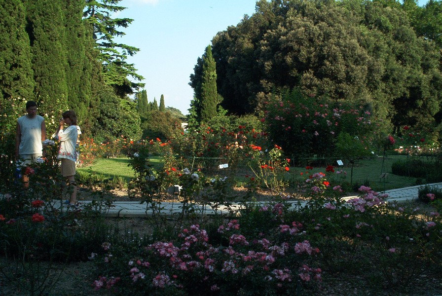 Ботанический сад. Крым'04