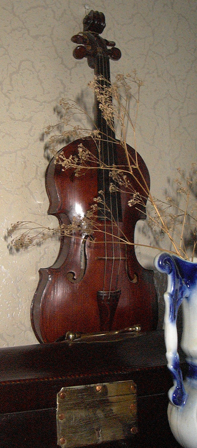 'Татьяна'. Мой папочка и его скрипки!