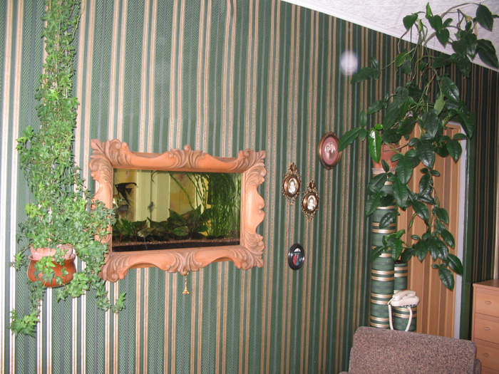 'Аквариум'. Мои цветы