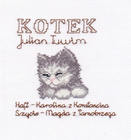 541 Kotek 01. 1.1.Kwadraciki na kolderki 0500-0599