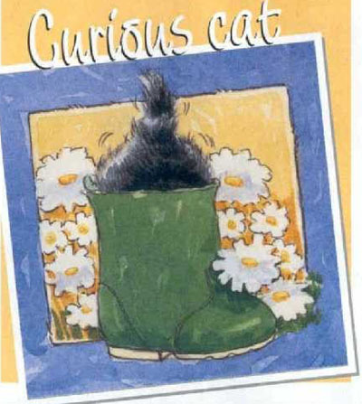 Ищу приключений на свою.... Процессы