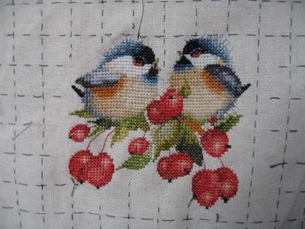 1 этап - Санечка. Санечка - птички