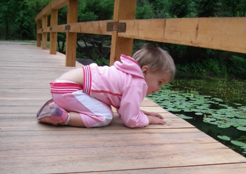 Японский сад